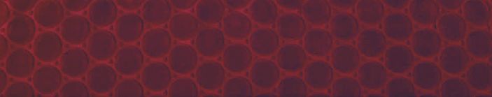 9628 geometrico 220x240 59 raspberry malinová deka 1098